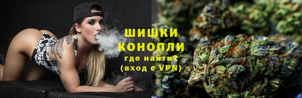 прущие грибы Арсеньев