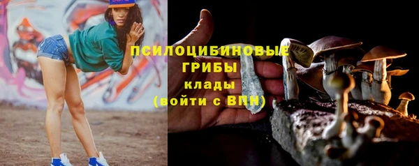 прущие грибы Арсеньев