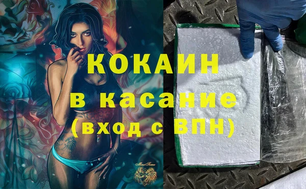 прущие грибы Арсеньев