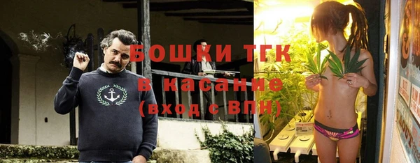 прущие грибы Арсеньев